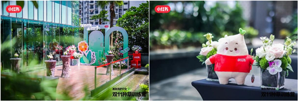 美彩国际(中国区)-官方网站
