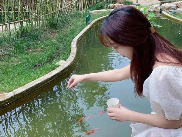 美彩国际(中国区)-官方网站