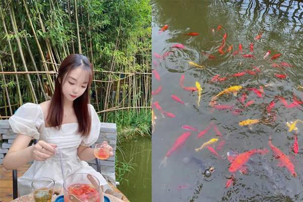 美彩国际(中国区)-官方网站