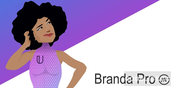 Branda Pro v3.4.12 – WordPress white label branding Nulled